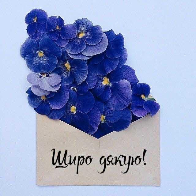 Подяка лікарю Холод Олександру Миколайовичу