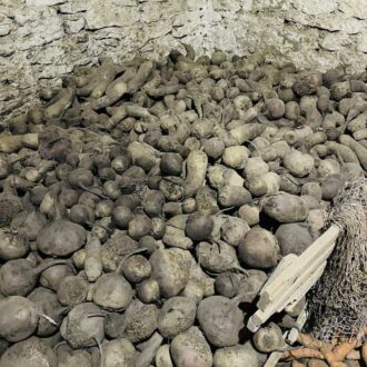 48e88e48-34d4-4783-8624-9c8bb9e7c7c5