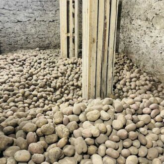 e83d69b3-fcc2-4f7a-ab41-22184c31f034