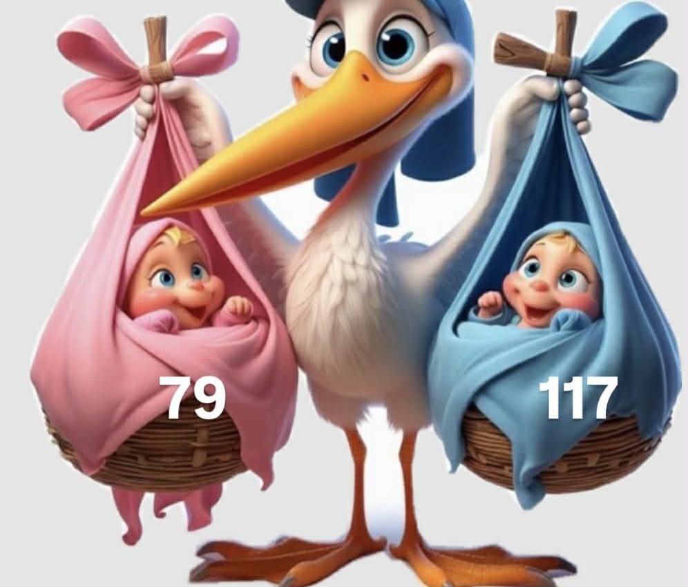 Упродовж усього 2025 року в Славутському АГВ народилося 196 дітей