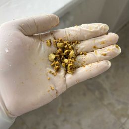 3a010a69-a046-436e-90af-f5e9821b8a77